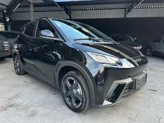 Foto de um byd dolphin mini