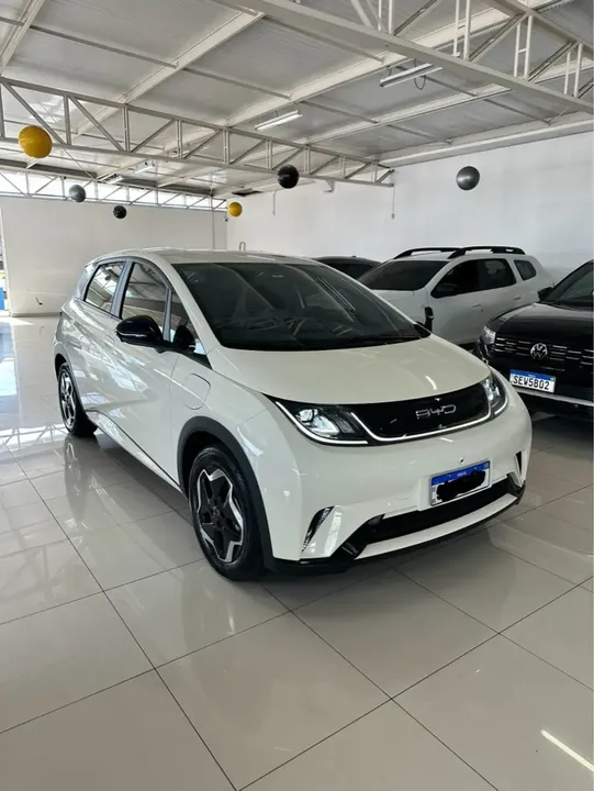 Foto de um byd dolphin