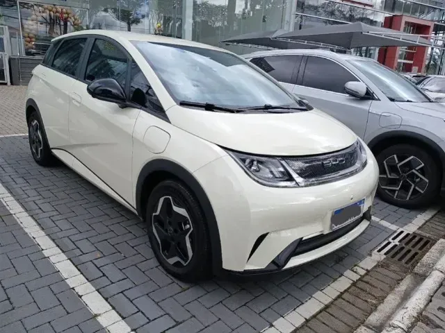 Foto de um byd dolphin