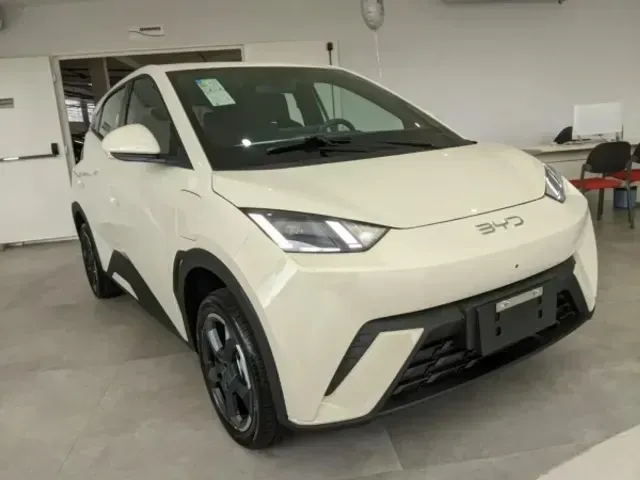Foto de um byd dolphin mini