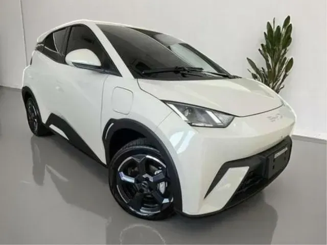 Foto de um byd dolphin mini