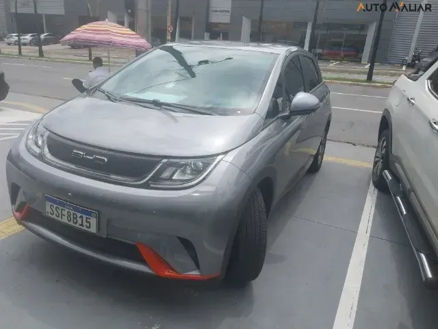 Foto de um byd dolphin