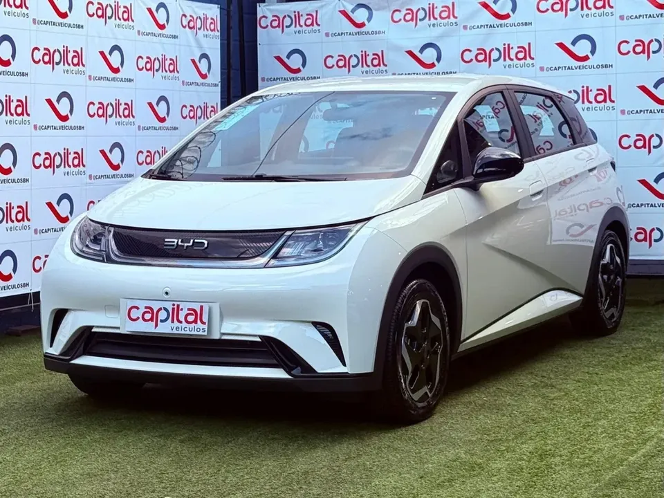 Foto de um byd dolphin