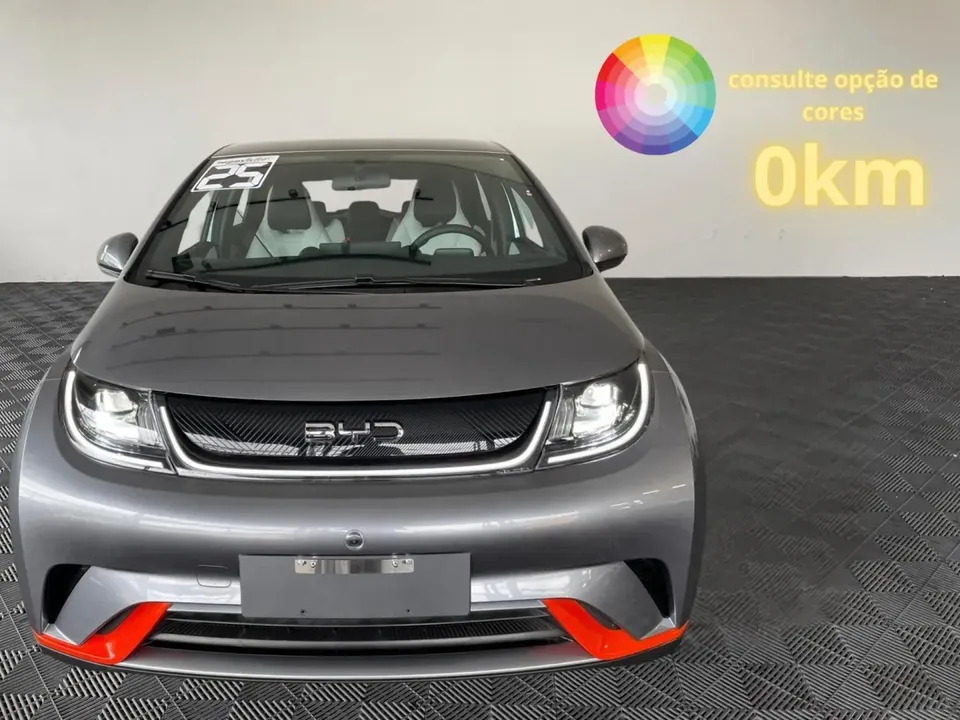 Foto de um byd dolphin