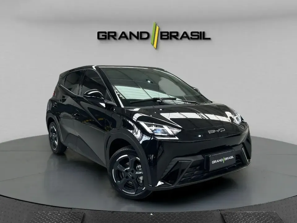 Foto de um byd dolphin mini