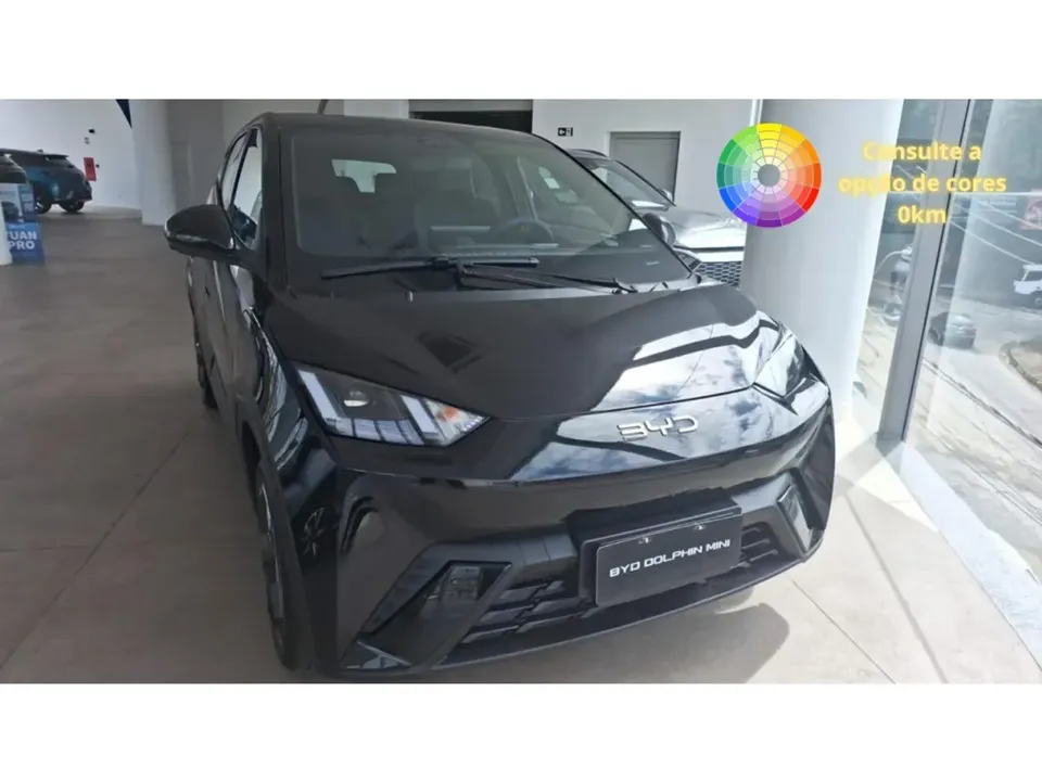 Foto de um byd dolphin mini