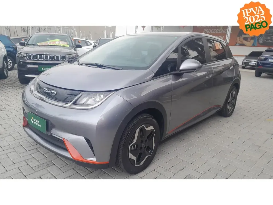 Foto de um byd dolphin