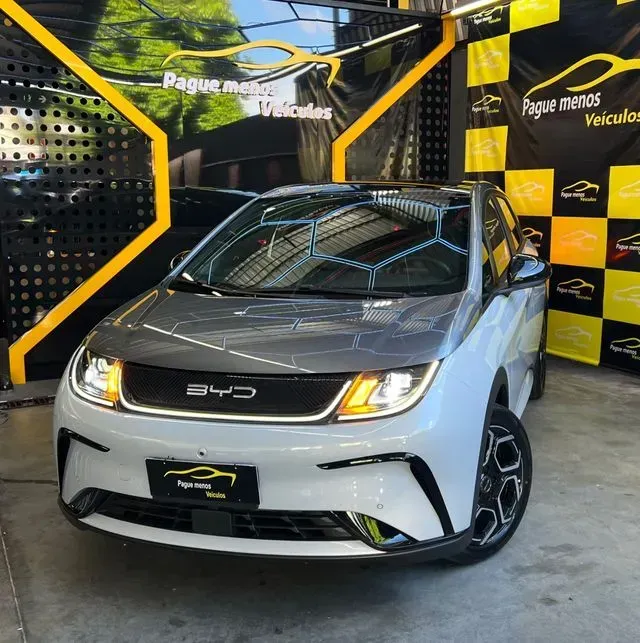 Foto de um byd dolphin plus