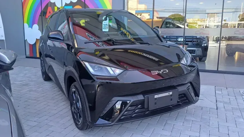 Foto de um byd dolphin mini