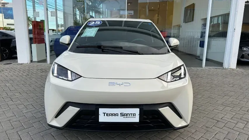 Foto de um byd dolphin mini