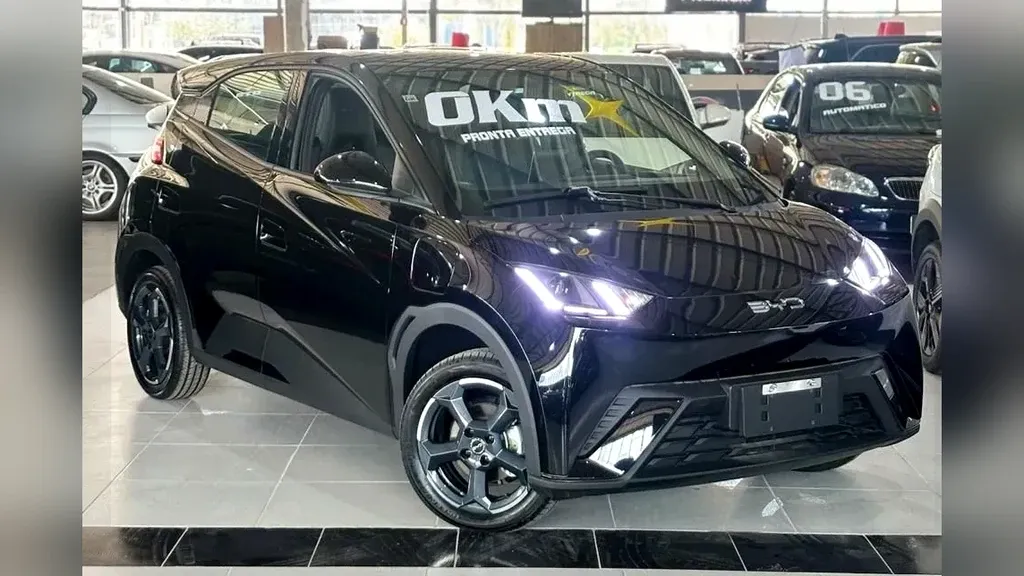 Foto de um byd dolphin mini