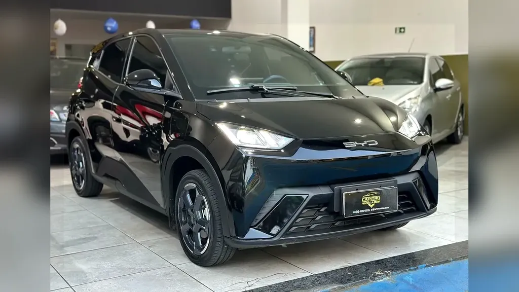 Foto de um byd dolphin mini