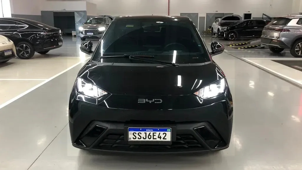 BYD Dolphin Mini
