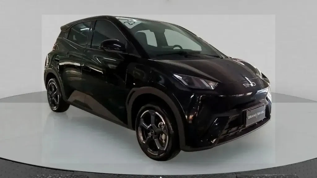 BYD Dolphin Mini
