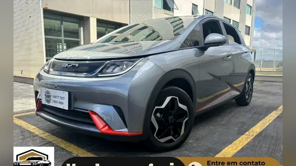 Foto de um byd dolphin