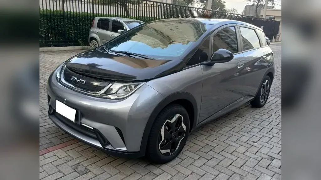Foto de um byd dolphin