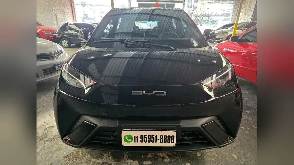 Foto de um byd dolphin mini