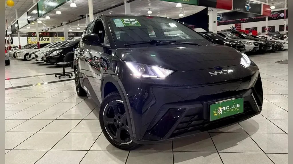 Foto de um byd dolphin mini
