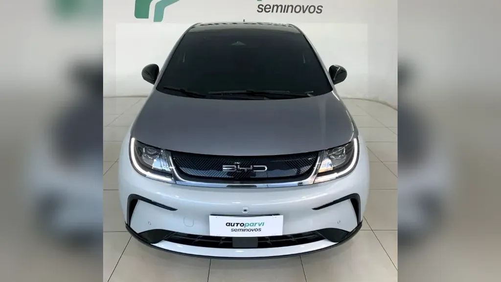 BYD Dolphin Plus