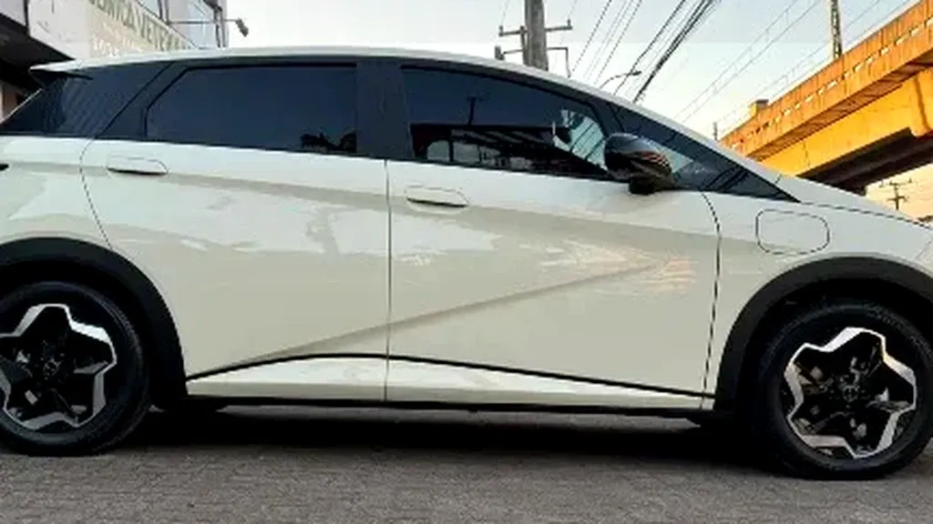 Foto de um byd dolphin