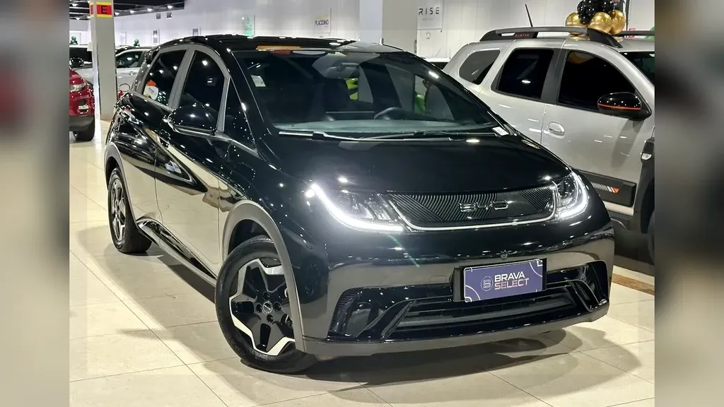 Foto de um byd dolphin