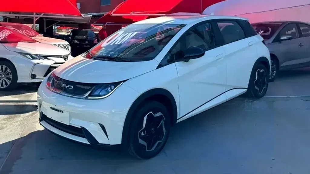 Foto de um byd dolphin