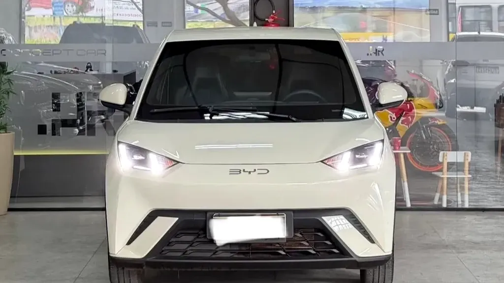 Foto de um byd dolphin mini
