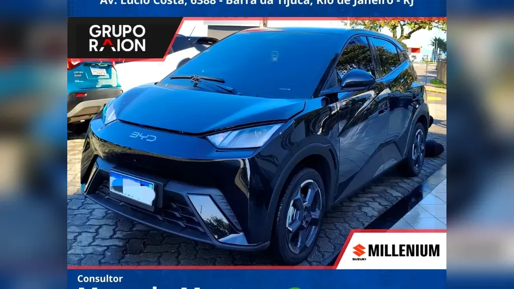 Foto de um byd dolphin mini