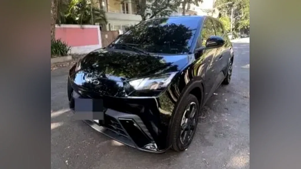 Foto de um byd dolphin mini