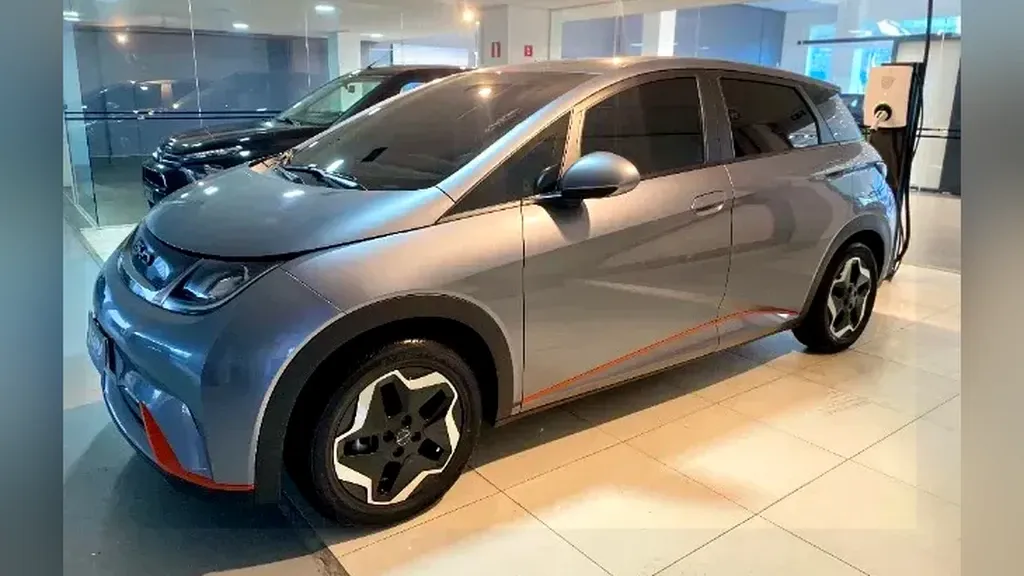 Foto de um byd dolphin