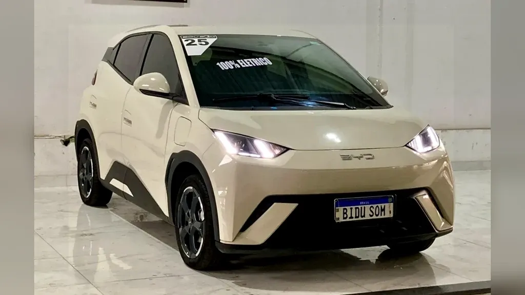 Foto de um byd dolphin mini
