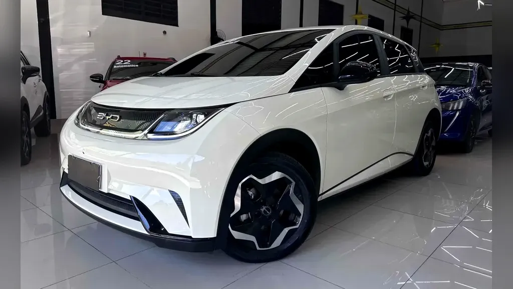 Foto de um byd dolphin