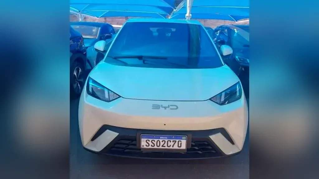 Foto de um byd dolphin mini