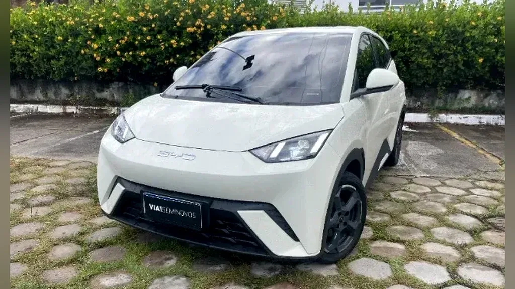 Foto de um byd dolphin mini