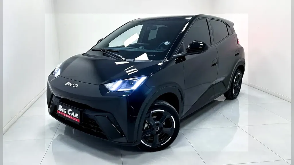 Foto de um byd dolphin mini