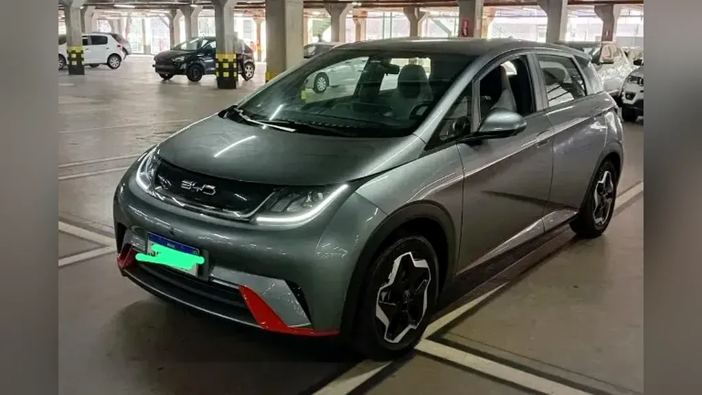 Foto de um byd dolphin
