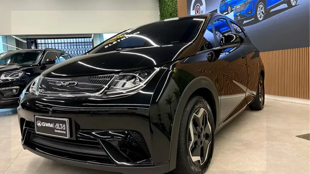 Foto de um byd dolphin