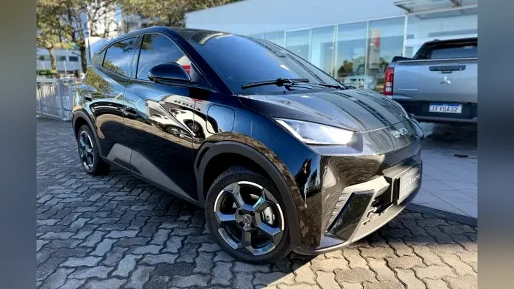 Foto de um byd dolphin mini