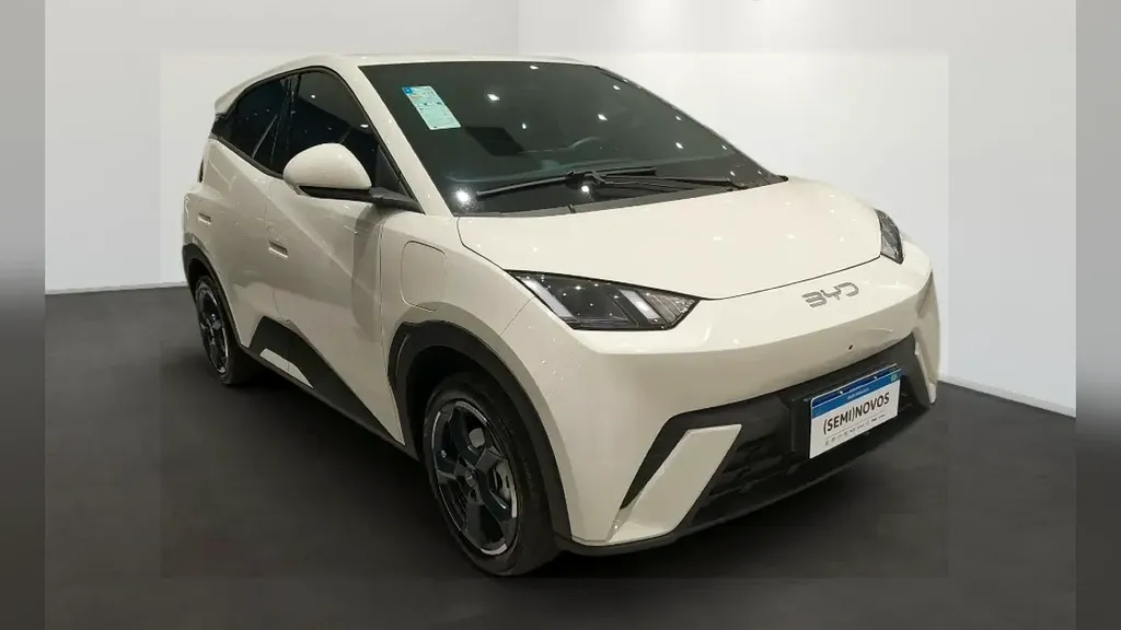 BYD Dolphin Mini