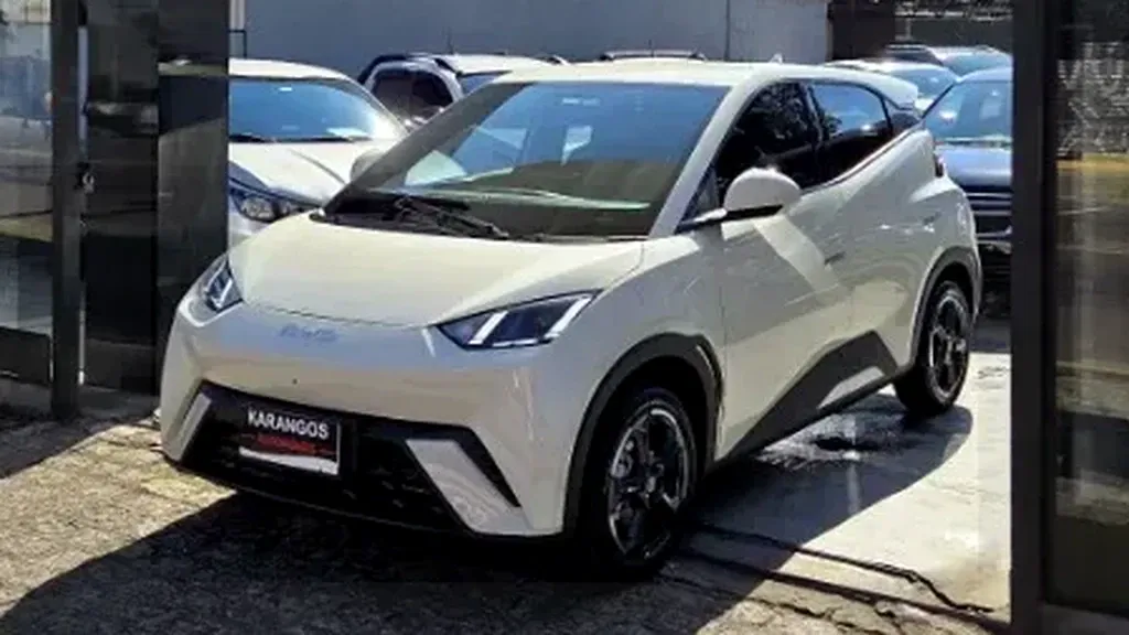 Foto de um byd dolphin mini