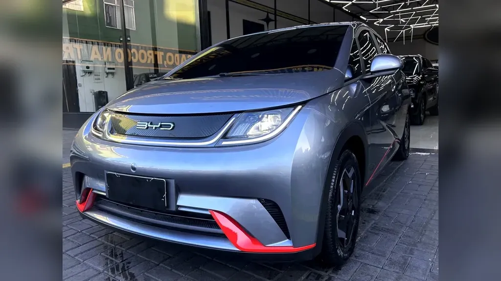 Foto de um byd dolphin