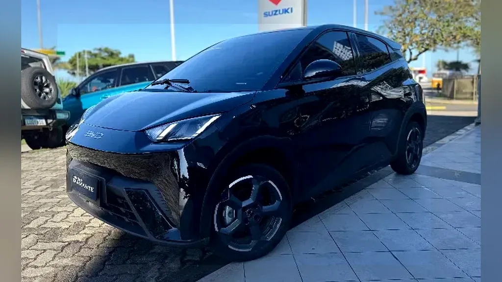 Foto de um byd dolphin mini