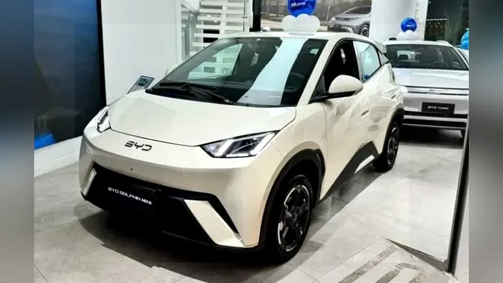 Foto de um byd dolphin mini