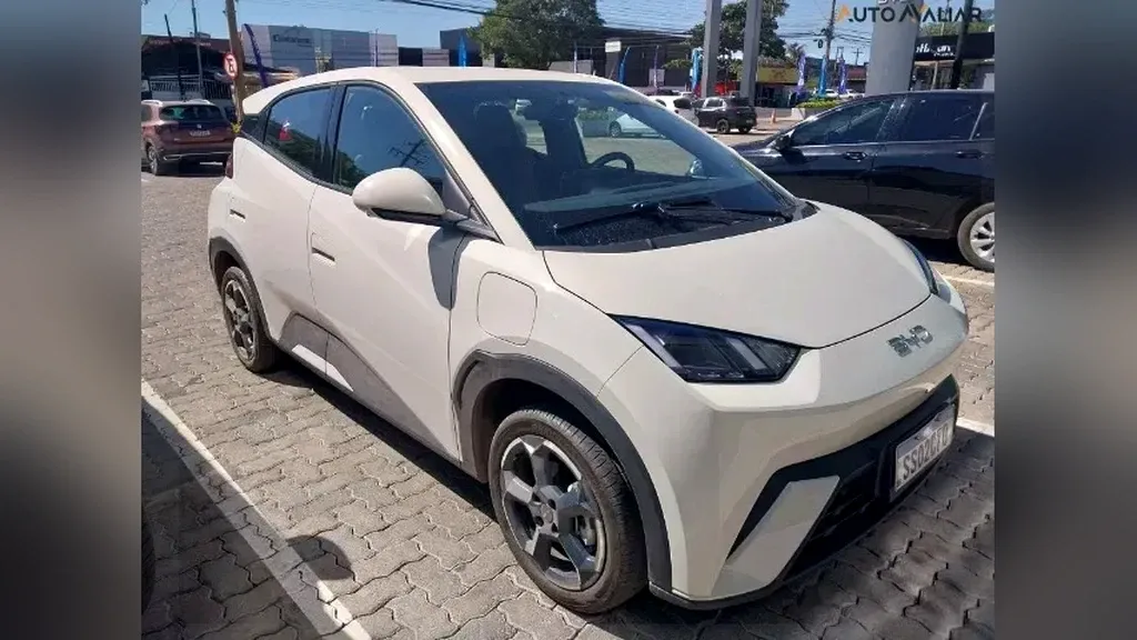 Foto de um byd dolphin mini