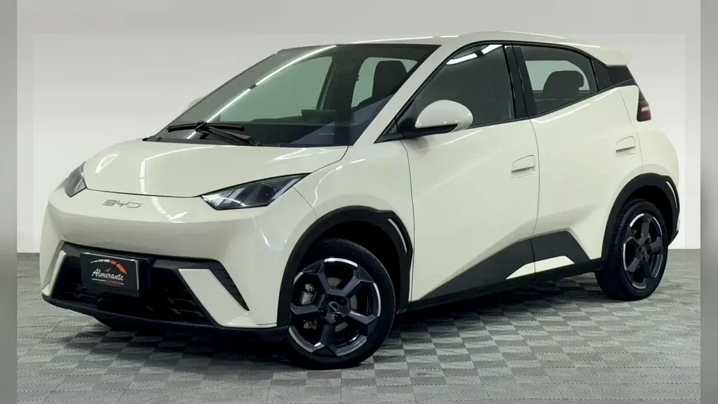 Foto de um byd dolphin