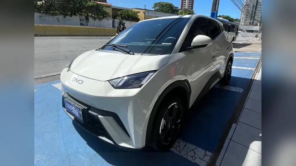 Foto de um byd dolphin mini