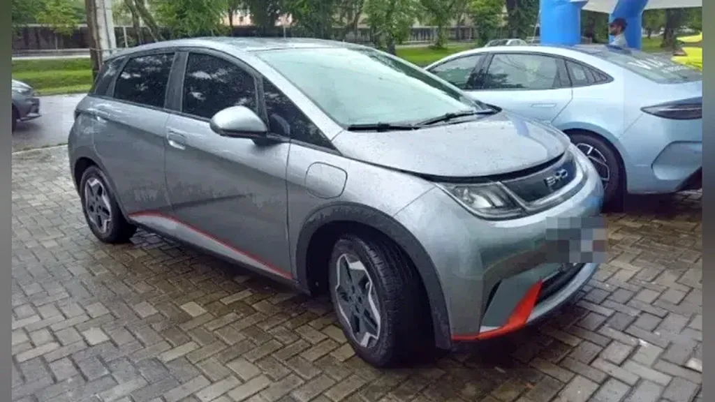 Foto de um byd dolphin