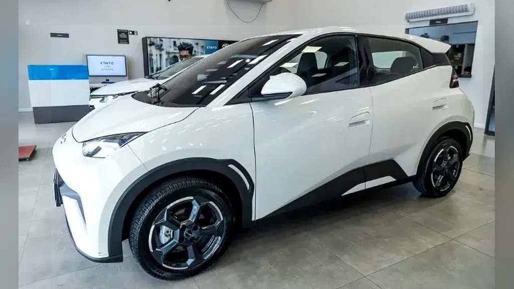 Foto de um byd dolphin mini