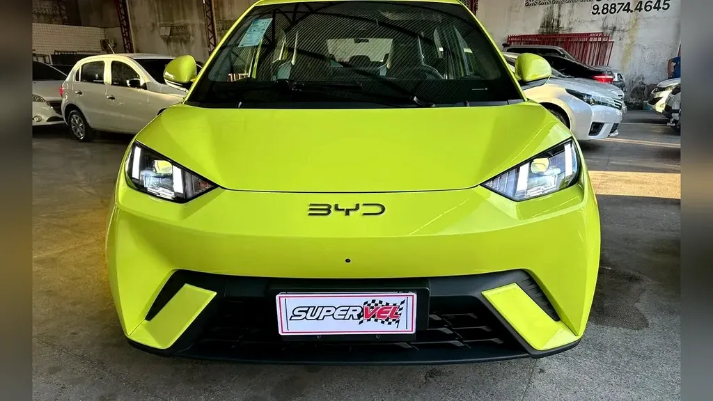 Foto de um byd dolphin