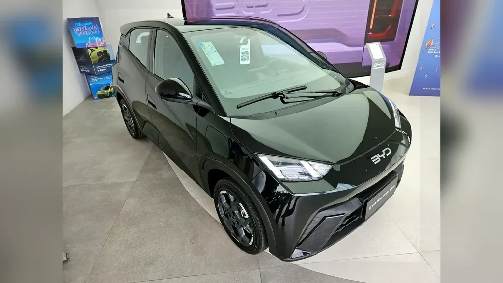 Foto de um byd dolphin mini